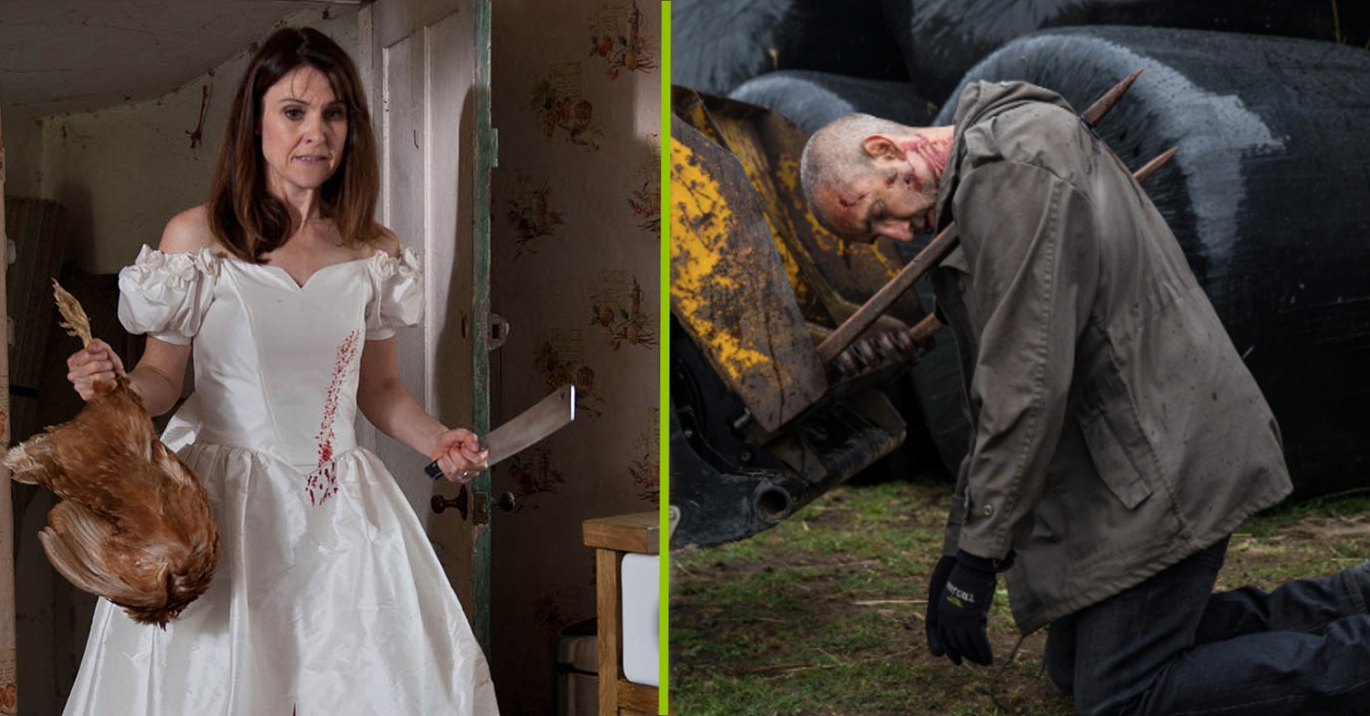 As Mack takes on a bull and loses, other animals that have caused chaos in Emmerdale!