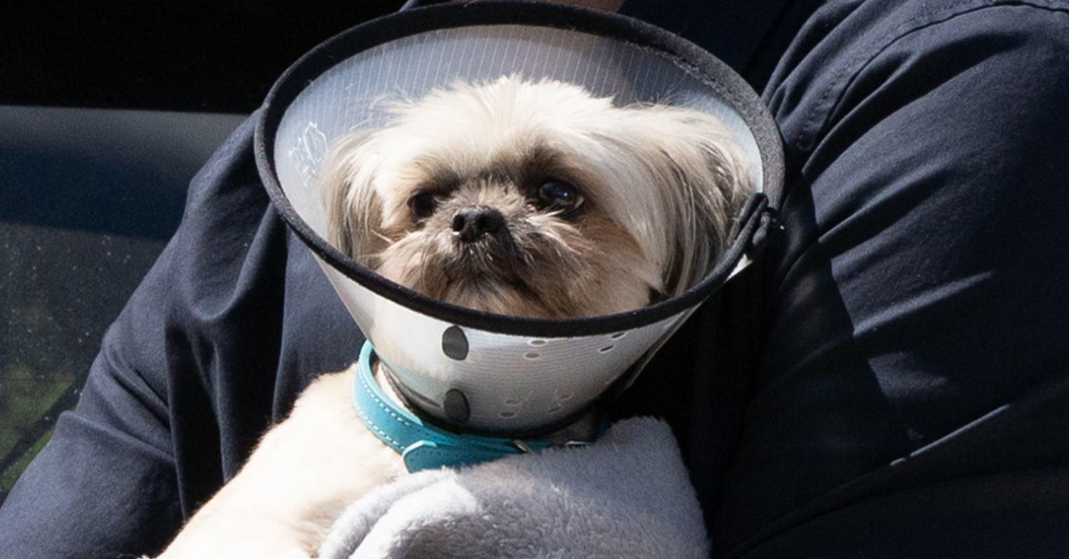 Emmerdale: Piper’s alive – but fans aren’t impressed with soap’s ‘cruel’ decision: ‘Should be ashamed of yourselves’