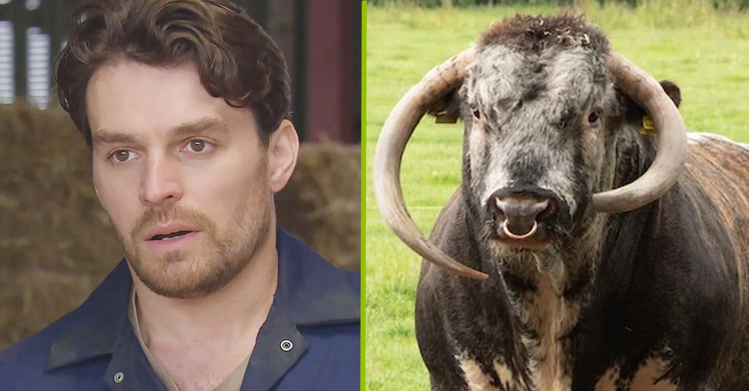 Emmerdale: Mack’s used up all of his nine lives – here’s why he MUST die in next week’s bull chase