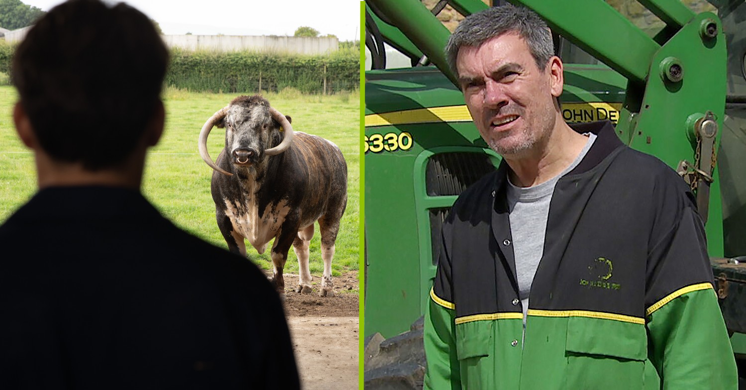 Review of the week: Dawn’s insufferable, Cain’s useless and Mack’s still alive