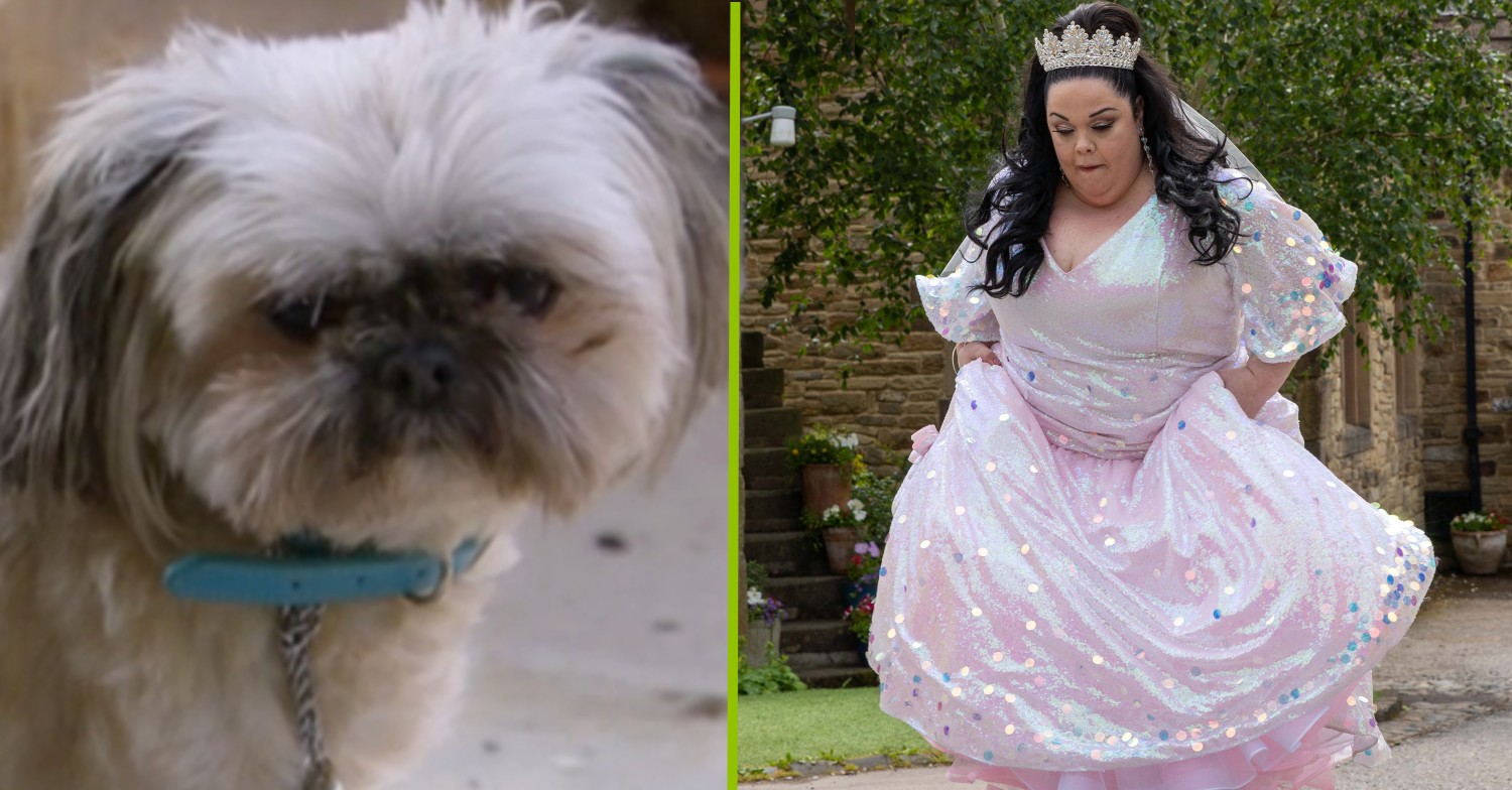 Review of the week: Tom’s shocking revenge, wedding bells, and a secret revealed