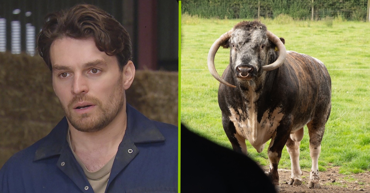 Finally got the memo? Have Emmerdale actually killed off Mack this time?