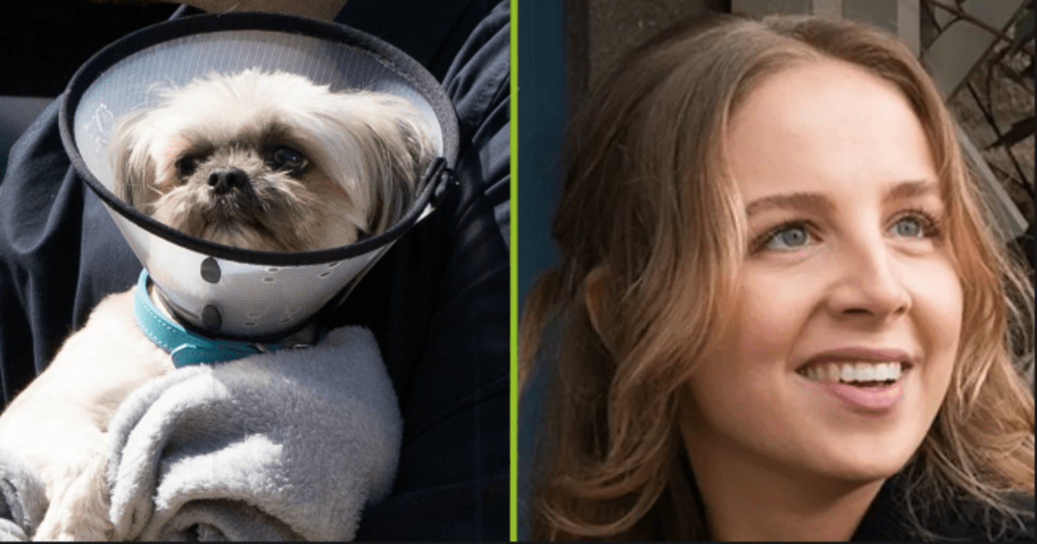 Emmerdale just confirmed Piper the Dog’s real fate – and now we can finally sleep at night